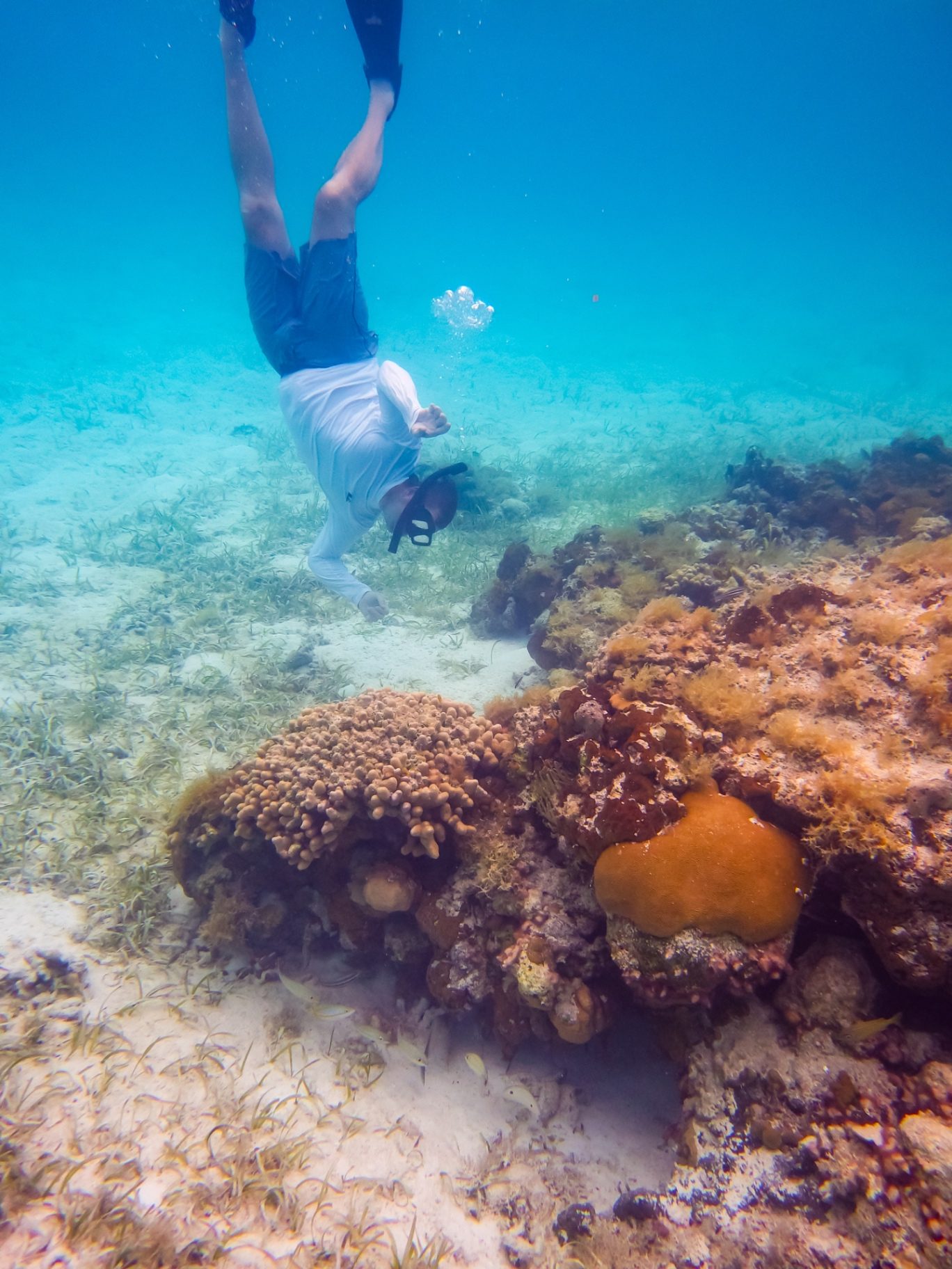 Snorkeler free-diving down to a colorful coral head
