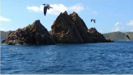 Sea birds circling rocky islets in the BVI